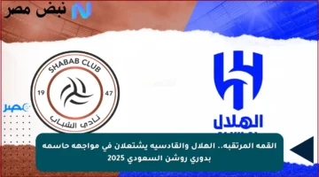 القمة المرتقبة.. الهلال والقادسية يشتعلان في مواجهة حاسمة بدوري روشن السعودي 2025